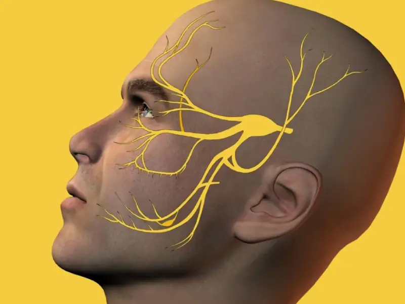 درد عصب سه قلو چیست؟