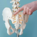 درد دنبالچه _ علت، علائم و تشخیص