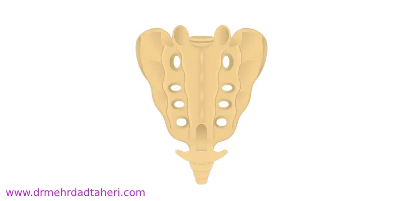 درمان درد دنبالجه با بلوک شبکه عصبی