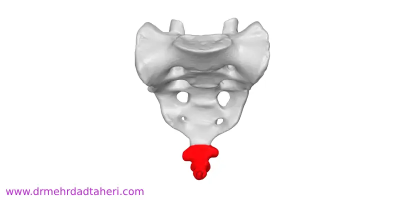 ماندگاری بلوک عصبی برای درمان درد دنبالچه چقدر است؟