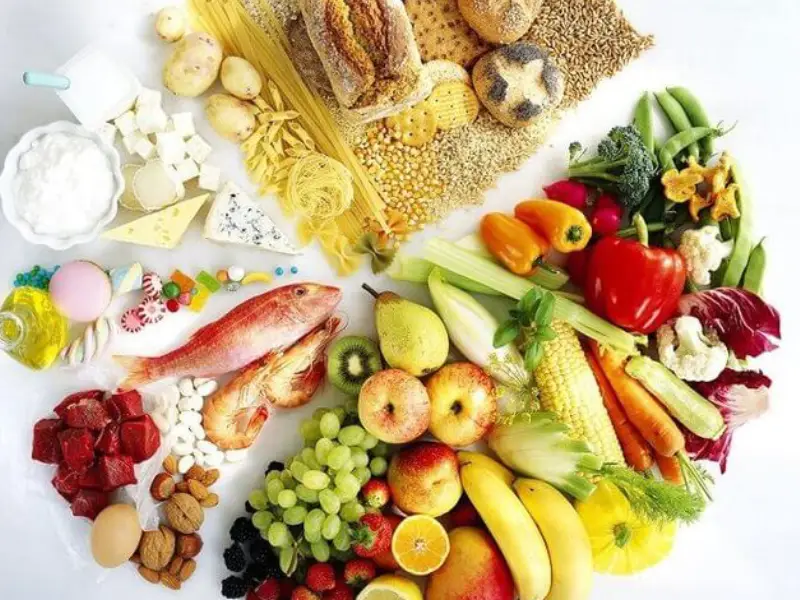 معرفی انواع غذاهای مفید برای دیسک گردن